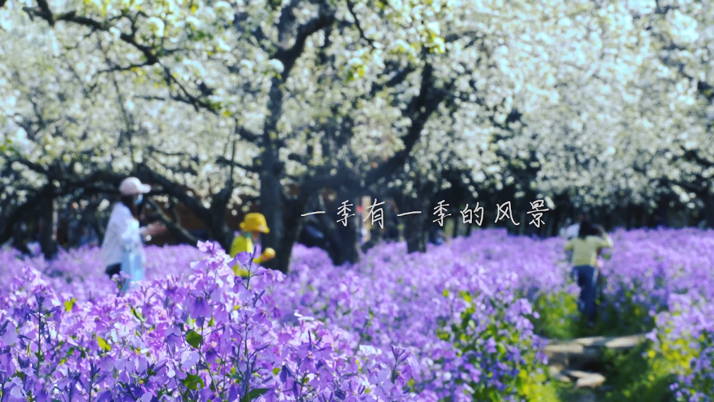 圖片新聞