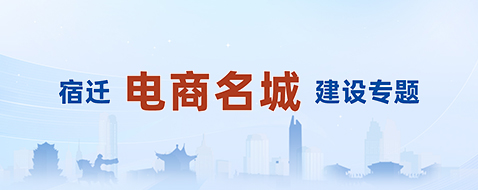 宿遷電商名城建設(shè)專題